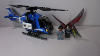Pteranodon Capture