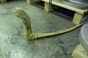 maquette du chestburster