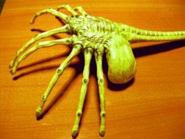 maquette du facehugger