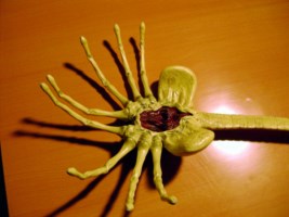 maquette du facehugger