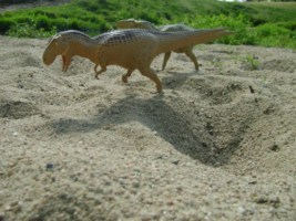 un couple de T-rex