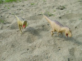 un couple de T-rex