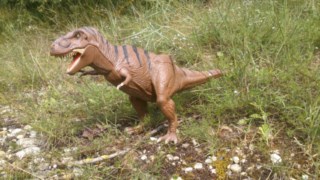un T-rex guettant sa proie
