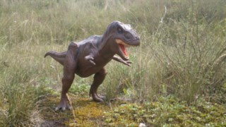 un T-rex guettant sa proie