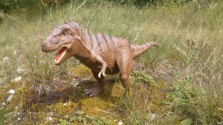 un T-rex guettant sa proie