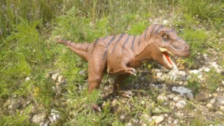 un T-rex guettant sa proie